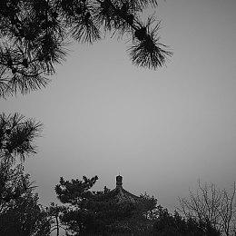 《High on Life》《瑞克和莫蒂》创作者被控家庭暴力和非法监禁